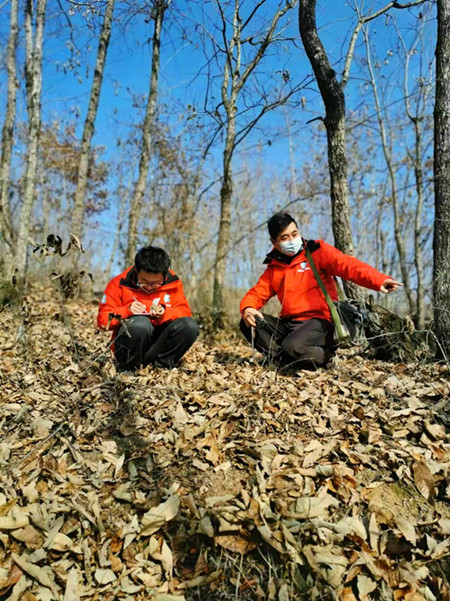 20220117/61e575c080632.jpg 2.jpg