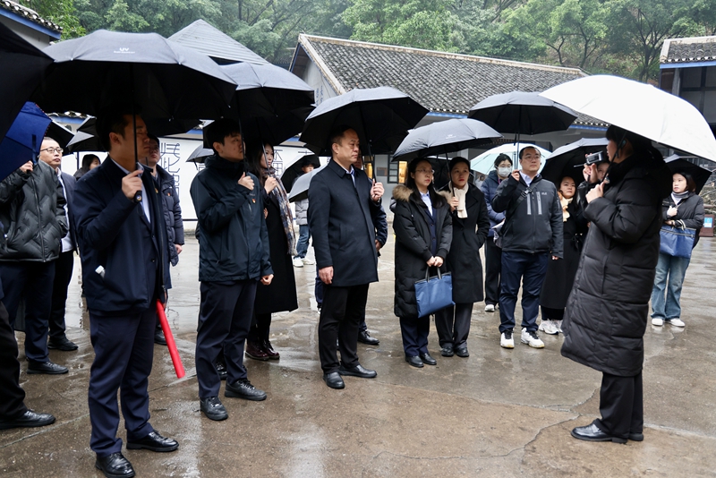 20241217/67612b4e16765.jpg 1.jpg