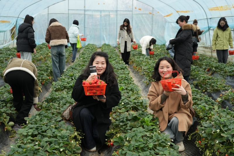 20250310/67ceba2f81864.jpg 1.jpg