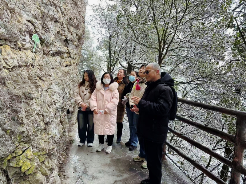 20250310/67cebb88c5559.jpg 4.jpg