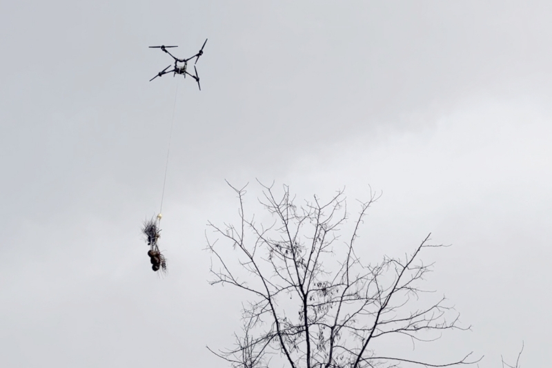 20250423/68088e62272a0.jpg 11.jpg